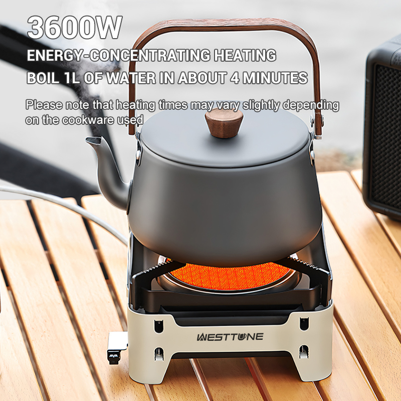 WESTTUNE กลางแจ้งเตาเผาไหม้อิน - Kitchen Appliances Gas Stove บทวิจารณ์และราคา